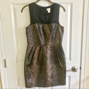 H&M Sheer Black & Snakeskin Print Dress Size 8